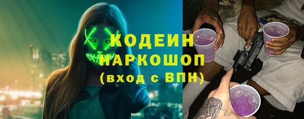 стаф Новозыбков