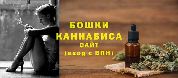 амф Новодвинск