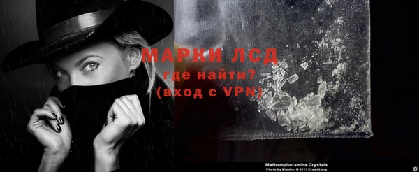 амф Новодвинск