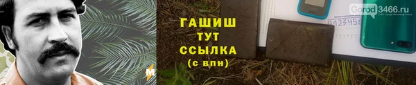 стаф Новозыбков