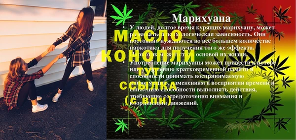 стаф Новозыбков