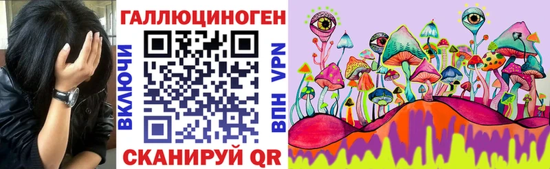 Галлюциногенные грибы Psilocybine cubensis  наркота  Фёдоровский 