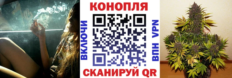 Каннабис марихуана  Фёдоровский 
